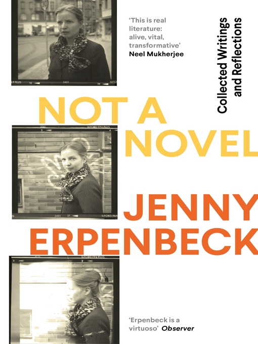 Cover image for Not a Novel